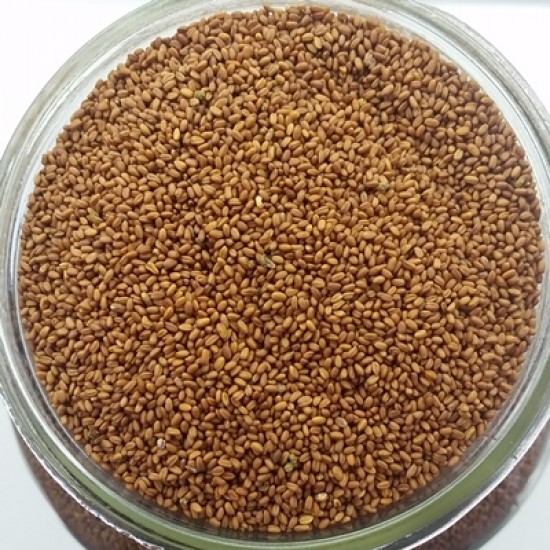 Graines de caméline torréfiées biologiques QC - 100gr